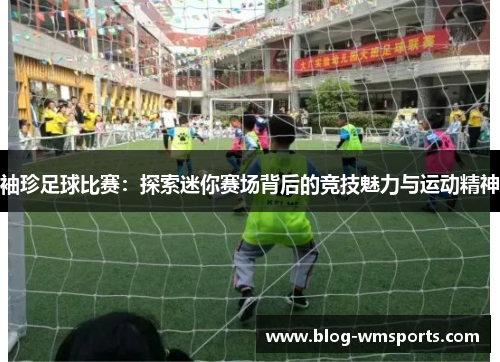 袖珍足球比赛：探索迷你赛场背后的竞技魅力与运动精神