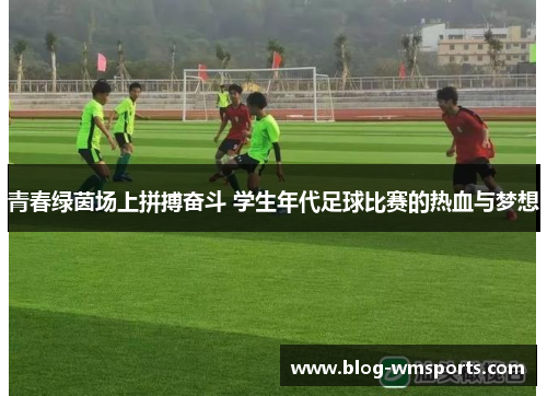 青春绿茵场上拼搏奋斗 学生年代足球比赛的热血与梦想