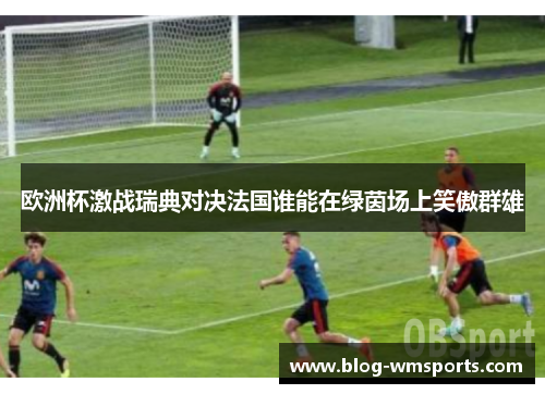 欧洲杯激战瑞典对决法国谁能在绿茵场上笑傲群雄