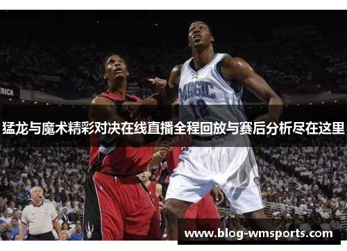 猛龙与魔术精彩对决在线直播全程回放与赛后分析尽在这里