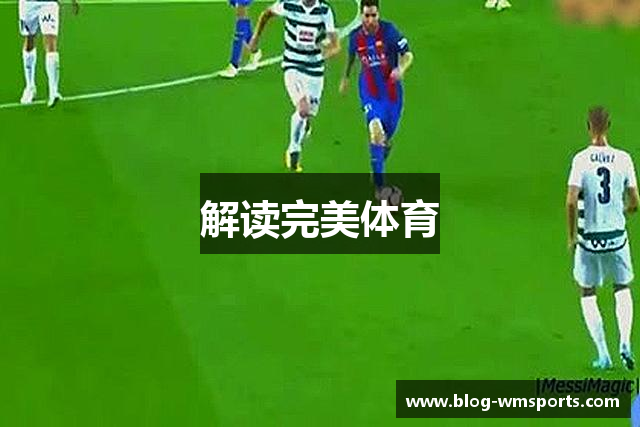 解读完美体育